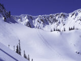 High Angle View of a Ski Slope