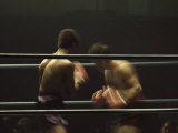 Boxers Seen from Between the Ropes