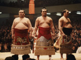 Sumo Wrestler