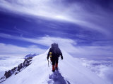 Denali National Park  Alaska  USA