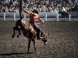 Cowboy in Rodeo