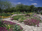 San Antonio Botanical Gardens  Texas  USA