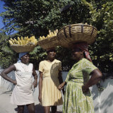Banana Vendors  Kingston  Jamaica