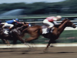 Belmont Park  New York  USA