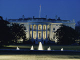 The White House  Washington  DC  USA