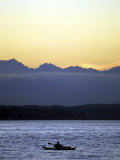 Puget Sound  Washington  USA