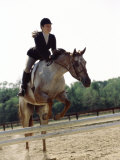 Low Angle View of a Jockey And a Horse Jumping Over a Hurdle
