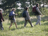 Family Hiking in The Wilderness