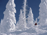 Steamboat Springs  Colorado  USA