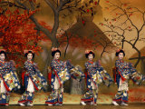 Kitano Odori Kamishichigen  Kaburenjo Hall  Japan