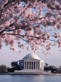 Jefferson Memorial  Washington  DC  USA