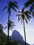 Sugar Loaf Mountain  Rio de Janeiro  Brazil