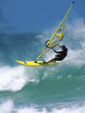 Windsurfer
