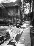 Bench at the Museo Leon Trotsky  Coyoacan  Mexico