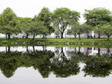 Trees are Reflected in Still Water on the Esplanade Along the Charles River in Boston