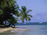 Cape Samana  Dominican Republic