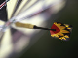 Dart on the Bull's-Eye of a Dart Board