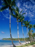 Cape Samana  Dominican Republic