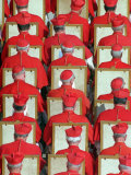 Old Cardinals are Seen During the Concistory