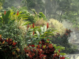 Woman at Tabacon Hot Springs near Arenal Volcano  Costa Rica