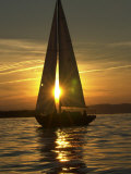 A Sailboat Heads Back to its Mooring