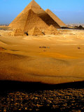Tourists Ride Horses and Camels at the Historical Site of the Giza Pyramids  Near Cairo  Egypt