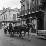 Tourists Take in the Scenery Via Horse-Drawn Carriage on Royal Street in New Orleans