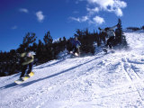 Snowboard Race