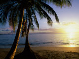 Cape Samana  Dominican Republic