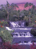 Tabacon Hot Springs  Arenal Volcano  Costa Rica