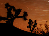 Several Leonids Meteors are Seen Streaking Through the Sky Over Joshua Tree National Park  Calif