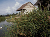 Houses Along the Louisiana Bayou are Seen
