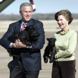 President Bush and First Lady  Laura  Carry Their Dogs