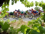 Riders are Seen Through Vineyards as the Pack Pedals Outside Beziers