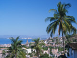 View of Downtown Puerto Vallarta and the Bay of Banderas  Mexico