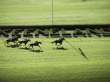 Keeneland Racetrack  Lexington  Kentucky  USA