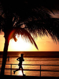 A Afternoon Runner Passes Under a Palm Tree as the Sun Sets Behind