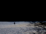 A Man Rows His Scull on Carnegie Lake