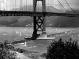 Golden Gate Bridge on Opening Day of the Yacht Season