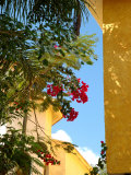 Iberostar Resort  Mayan Riviera  Mexico
