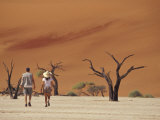 Hikers Among Petrified Camelthorne Trees  Namibia