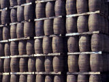 Bacardi Rum Ages in Oak Barrels  San Juan  Puerto Rico