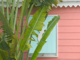 Palm and Pineapple Shutters Detail  Great Abaco Island  Bahamas