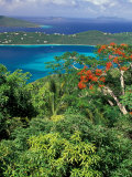 Magens Bay  St Thomas  Caribbean