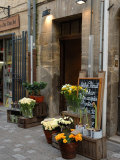 Florist Shop  Languedoc-Roussillon  France