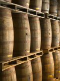 Aging Casks at Bacardi Rum Factory  Bahamas  Caribbean