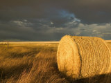 Landscape and Hay Roll in Alberta  Canada