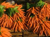 Carrots  Metkovic  Dalmatia  Croatia