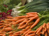 Vegetable Market  Stavanger Harbour  Norway