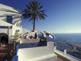 Restaurant Terrace on the Mediterranean Sea  Tunisia